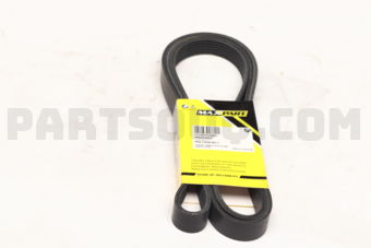 211997920003 MULTIRIB BELT