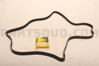 211997920009 V-RIBBED BELT