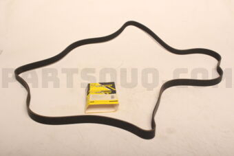 211997920009 V-RIBBED BELT