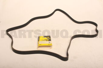 211997920009 V-RIBBED BELT