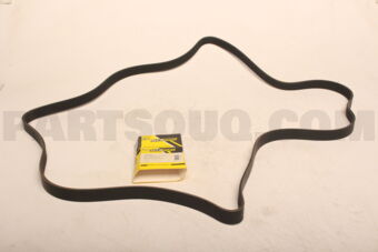 211997920009 V-RIBBED BELT
