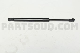 212880290003 GASSPRING BOOT/LH&RH/317MM/TOU