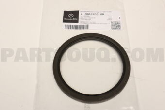 A0000170100 SEALING RING