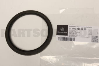 A0000170100 SEALING RING