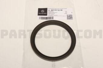 A0000170100 SEALING RING