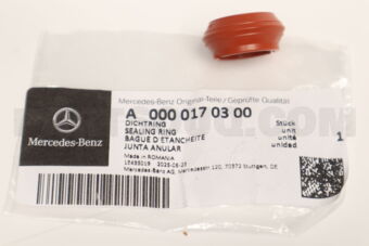 A0000170300 SEALING RING