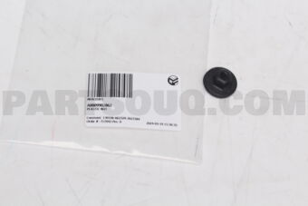 A0009902862 PLASTIC NUT