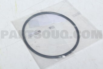 A0009976709 O-RING