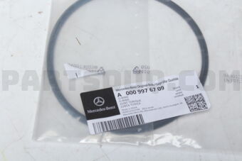 A0009976709 O-RING