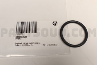 A0009979205 O-RING