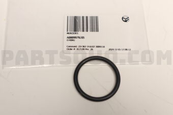 A0009979205 O-RING