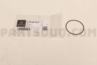 A0229976445 THERMOSTAT O-RING