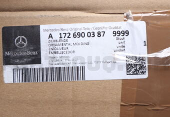 A17269003879999 TRIM MOLDING