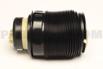 A2123204025 PNEUMATIC SPRING,R-RIGT-R(W212