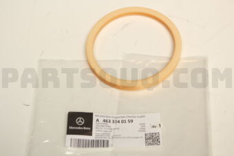 A4633340159 DICHTRING