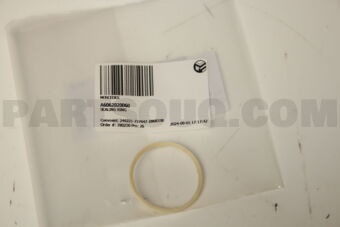 A6062020060 SEALING RING