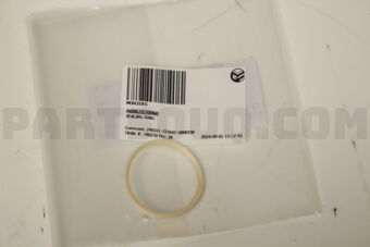 A6062020060 SEALING RING