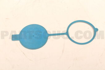 A9068690072 LATCH