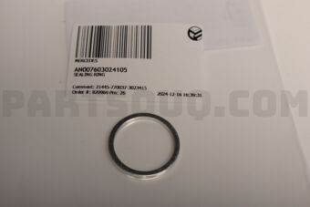 AN007603024105 SEALING RING