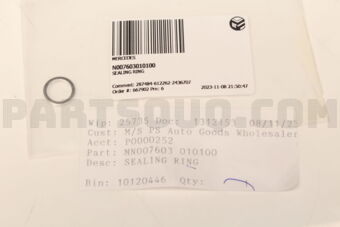 N007603010100 SEALING RING