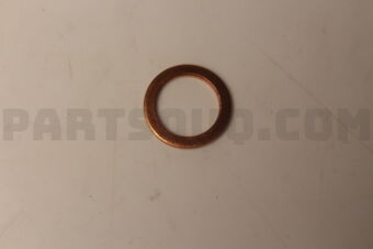 N007603012110 SEALING RING
