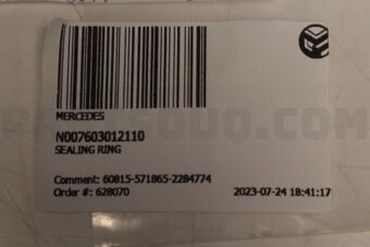 N007603012110 SEALING RING