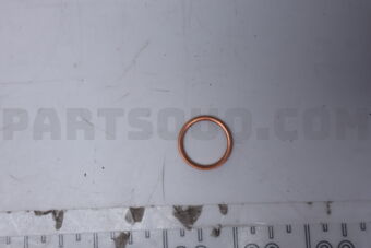 N007603016105 SEALING RING