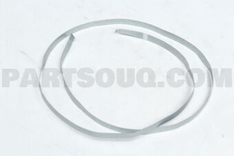 N900263009000 STRAP