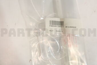 N913023010002 NUT