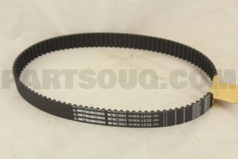 101XR30 T/BELT
