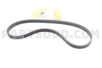 4PK775 RIB BELT