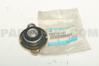 299623921 CAPRADIATOR