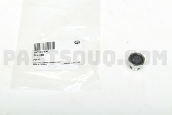 995111400 PLUG
