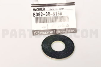 B09239815A WASHER