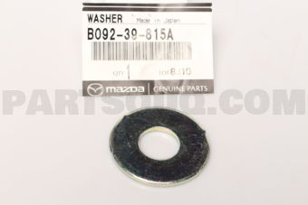 B09239815A WASHER