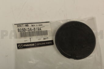 B25D34819A CAP,MEMBER BRACKET