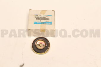 B45542250 CAP FUEL FILLER