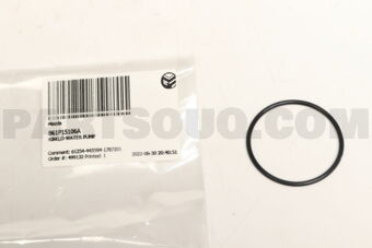 B61P15106A RING,O-WATER PUMP