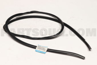 BC1M506AXB MOULD,FRT WINDOW-UP