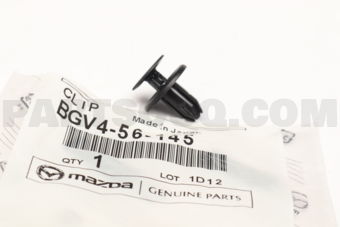 BGV456145 CLIP