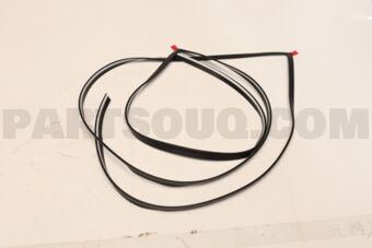 BHN150611C MOULD RR WINDOW