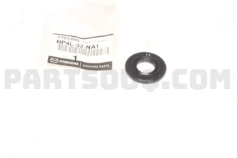 BP4L32NA1 SEAL,DUST