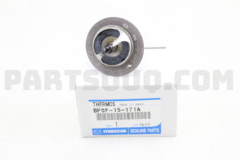 BP6F15171A THERMOSTAT