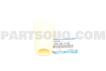 C10034111A BUMPER,BOUND