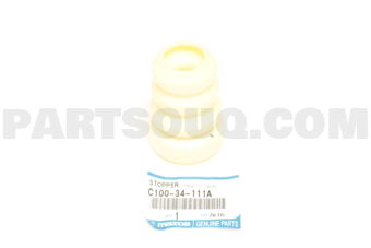 C10034111A BUMPER,BOUND