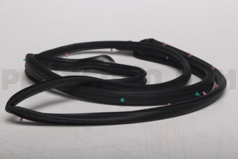 D10E59760 WEATHERSTRIP(L),DOOR
