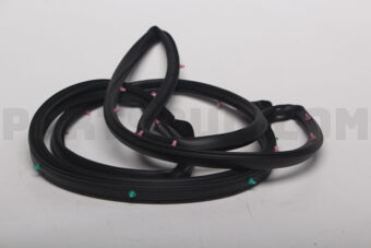 D10E59760 WEATHERSTRIP(L),DOOR