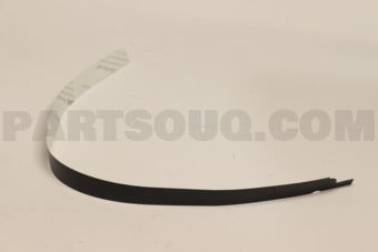 DN56508V2 STRIPE NO.2(R),BODY SIDE