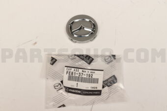 FE8137192 CAP,CENTER