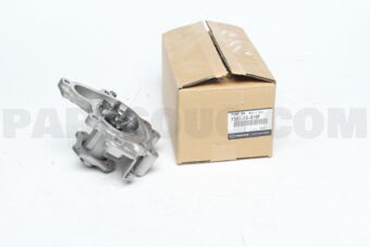 FS0115010F PUMP,WATER